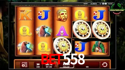 A Experiência Imersiva dos Cassinos Ao Vivo no bet558